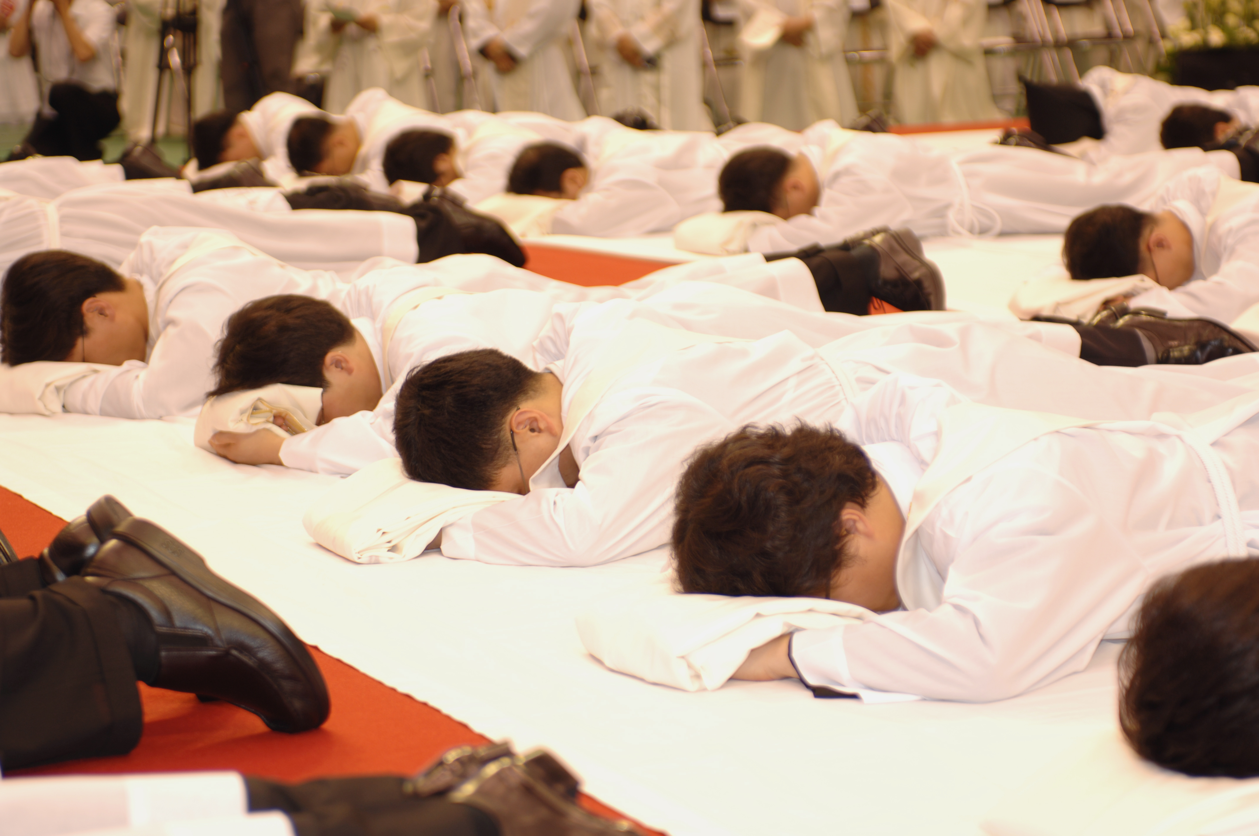 서울대교구서품식(2006)의 관련된 이미지 입니다.