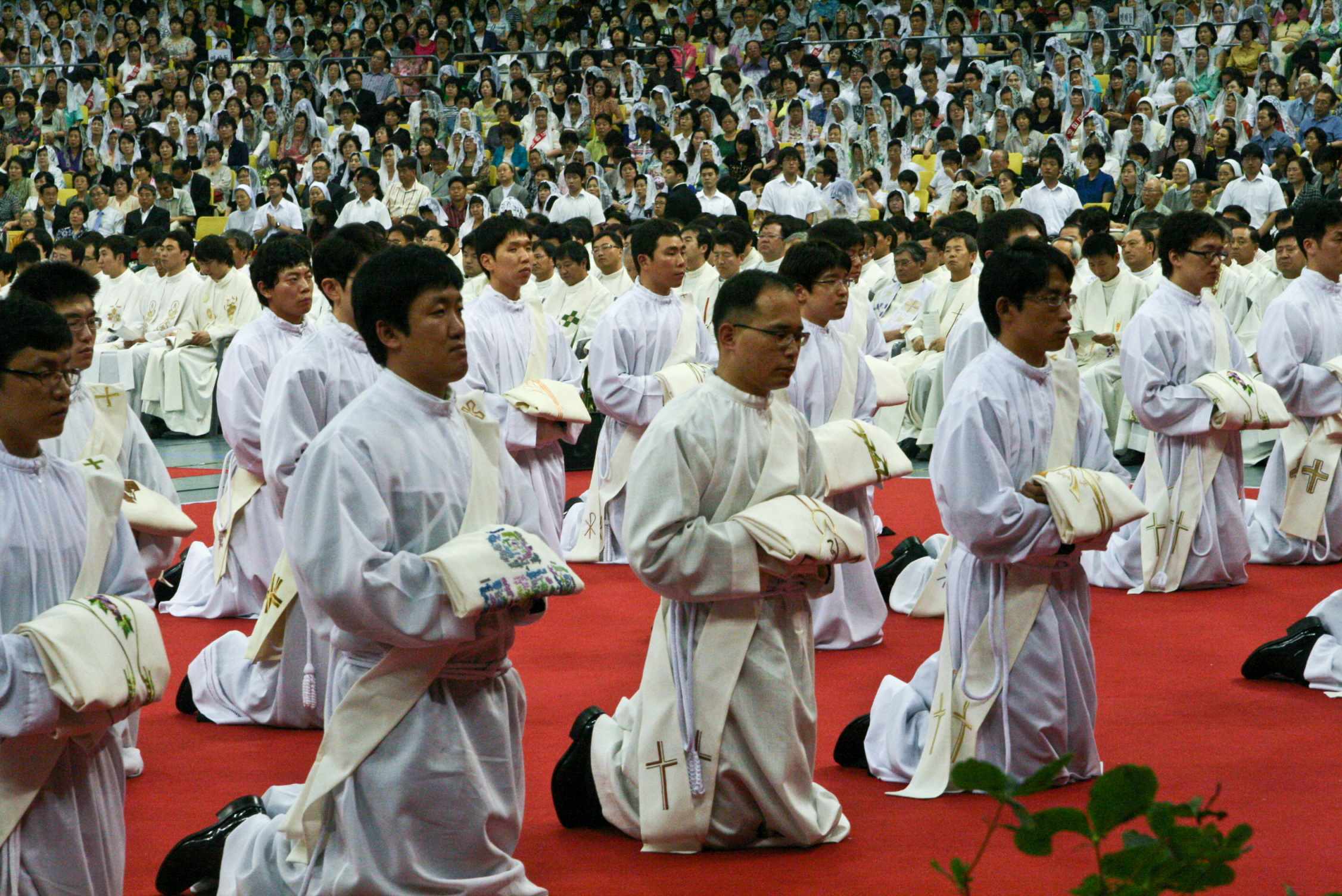 서울대교구 사제서품식(2009.6.26)의 관련된 이미지 입니다.